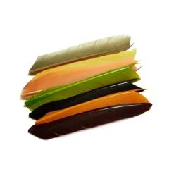 Fly Fishing^ Fulling Mill Turkey Biots - Your Premium Fishing Gear Store Rods Lines Baits Accessories