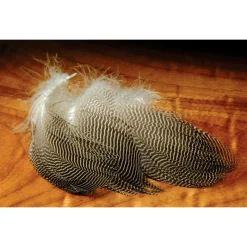 Shop All^ Gadwall Feathers - Your Premium Fishing Gear Store Rods Lines Baits Accessories