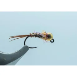 Shop All^ Gold BH 3.3 French Dip Shrimp #14 - Your Premium Fishing Gear Store Rods Lines Baits Accessories