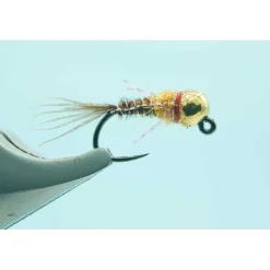 Shop All^ Gold BH French Dip Shrimp #16 2.3mm Bead - Your Premium Fishing Gear Store Rods Lines Baits Accessories