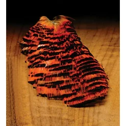 Fly Fishing^ Golden Pheasant - Your Premium Fishing Gear Store Rods Lines Baits Accessories