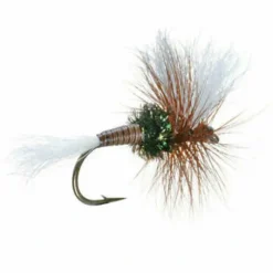 Shop All^ H&L Variant - Your Premium Fishing Gear Store Rods Lines Baits Accessories