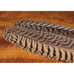 Fishing Line^ Hareline Mottled Peacock Wing Quill - Your Premium Fishing Gear Store Rods Lines Baits Accessories