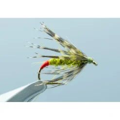 Shop All^ Hot Butt Soft Hackle Olive #14 - Your Premium Fishing Gear Store Rods Lines Baits Accessories