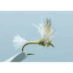 Shop All^ IMP Sparkle Dun Baetis GREY/OLIVE #18 - Your Premium Fishing Gear Store Rods Lines Baits Accessories