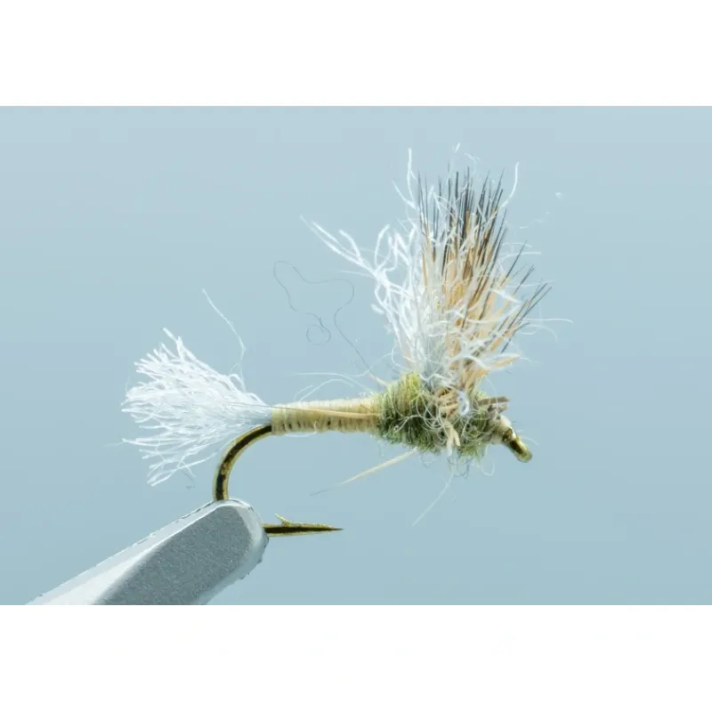 Shop All^ IMP Sparkle Dun Baetis GREY/OLIVE #18 - Your Premium Fishing Gear Store Rods Lines Baits Accessories