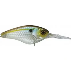 Bait^ Jackall Jaco 58 Medium Runner 2 1/4" Lure Crankbait Japan JJAC58MR-TOGSH - Your Premium Fishing Gear Store Rods Lines Baits Accessories