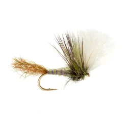 Shop All^ Keegan's Kripple - Your Premium Fishing Gear Store Rods Lines Baits Accessories