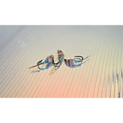 Shop All^ Kiley's Body Wrap - Your Premium Fishing Gear Store Rods Lines Baits Accessories