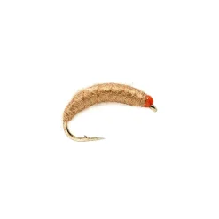 Shop All^ Killer Bug Natural - Your Premium Fishing Gear Store Rods Lines Baits Accessories