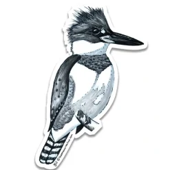 Shop All^ Kingfisher Sketch Sticker - Your Premium Fishing Gear Store Rods Lines Baits Accessories