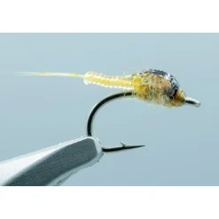 Shop All^ Krueger's Clear Choice May PMD #16 - Your Premium Fishing Gear Store Rods Lines Baits Accessories