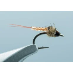 Shop All^ Krueger's Clear Choice May Baetis #18 - Your Premium Fishing Gear Store Rods Lines Baits Accessories