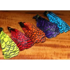 Shop All^ Lady Amherst - Your Premium Fishing Gear Store Rods Lines Baits Accessories