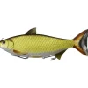 Live Target Golden Shiner Swimbaits - Your Premium Fishing Gear Store Rods Lines Baits Accessories* New