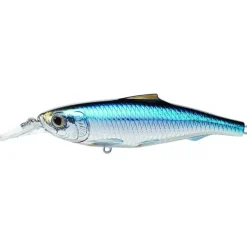 Bait^ Live Target Spanish Sardine Jerkbait SPJ Saltwater Inshore Hard Plastic Baits - Your Premium Fishing Gear Store Rods Lines Baits Accessories