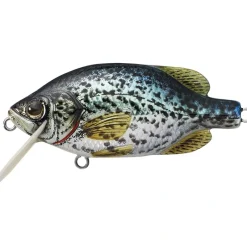 LiveTarget Crappie Flat-Side Shallow Dive Crankbait - Your Premium Fishing Gear Store Rods Lines Baits Accessories* Sale