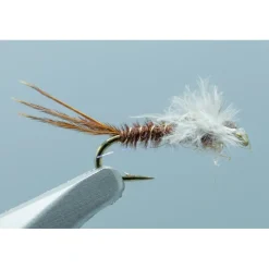 Macgruber Jackson Chocolate #18 - Your Premium Fishing Gear Store Rods Lines Baits Accessories* Hot