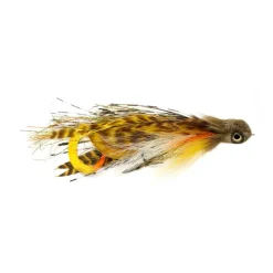 Man Bear Pig Perch - Your Premium Fishing Gear Store Rods Lines Baits Accessories* New