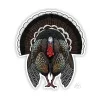 Merriam's Turkey Sticker - Your Premium Fishing Gear Store Rods Lines Baits Accessories* Best Sale