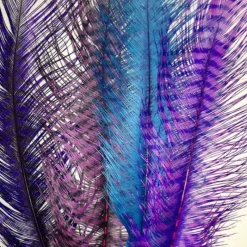 MFC Barred Ostrich - Your Premium Fishing Gear Store Rods Lines Baits Accessories* New