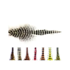 MFC Barred Saddle Hackle - Your Premium Fishing Gear Store Rods Lines Baits Accessories* Shop