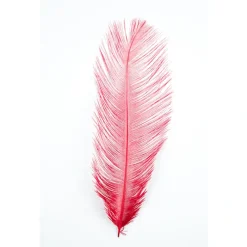 MFC Ostrich Plume - Your Premium Fishing Gear Store Rods Lines Baits Accessories* Outlet