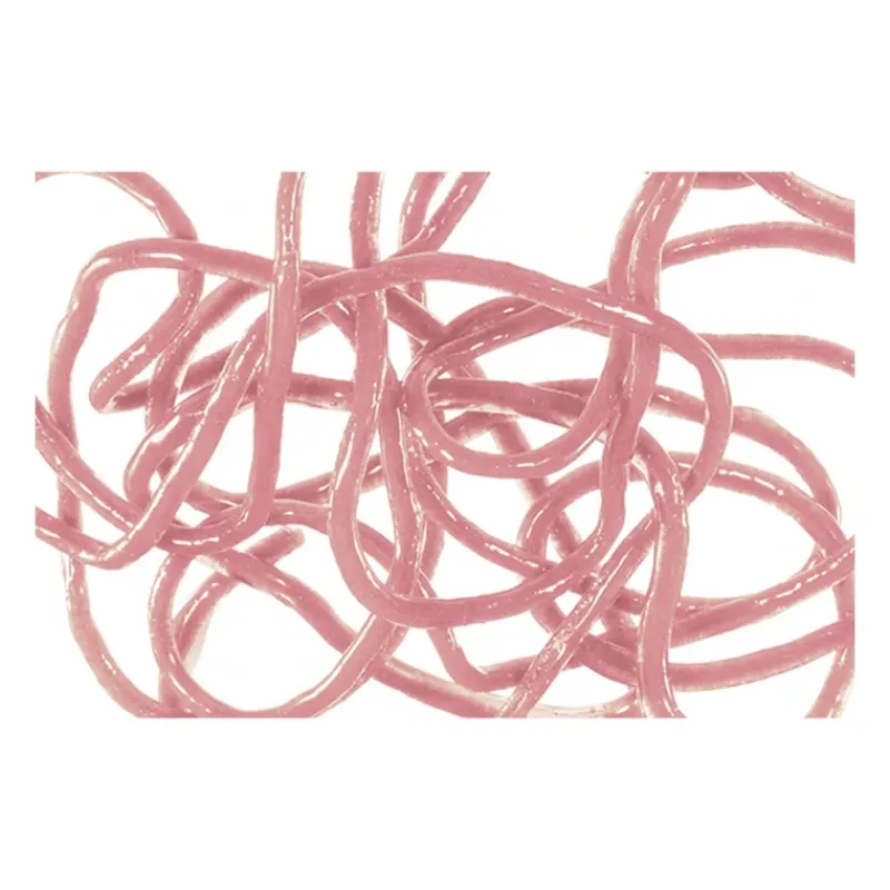 MFC Trina's Squirm Material - Your Premium Fishing Gear Store Rods Lines Baits Accessories* Cheap