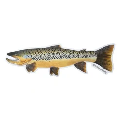 Mike Pepper "Colors on the Fly" 20" Brown Trout Sticker - Your Premium Fishing Gear Store Rods Lines Baits Accessories* Best Sale