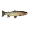 Mike Pepper "Colors on the Fly" 20" Cutthroat Trout Sticker - Your Premium Fishing Gear Store Rods Lines Baits Accessories* Cheap