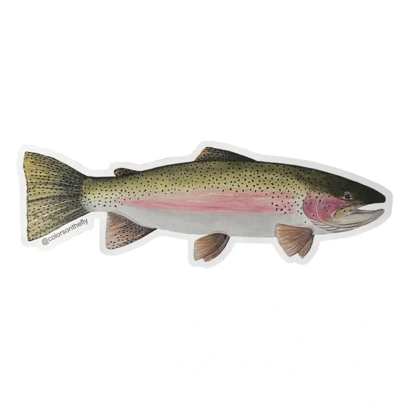 Fly Fishing^ Mike Pepper "Colors on the Fly" 20" Rainbow Trout Sticker - Your Premium Fishing Gear Store Rods Lines Baits Accessories