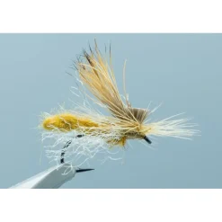 Missing Link Honey Ant Mercer #15 - Your Premium Fishing Gear Store Rods Lines Baits Accessories* Cheap