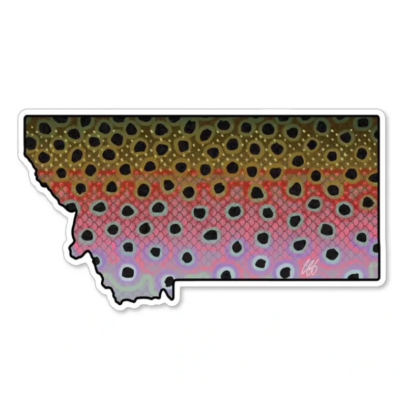 Montana Rainbow Sticker - Your Premium Fishing Gear Store Rods Lines Baits Accessories* Cheap