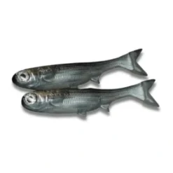 No Live Bait Needed K-Tails - Your Premium Fishing Gear Store Rods Lines Baits Accessories* Cheap