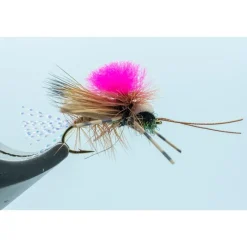 Party Animal Grillos Tan #14 - Your Premium Fishing Gear Store Rods Lines Baits Accessories* Hot