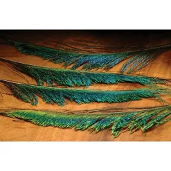 Peacock Sword - Your Premium Fishing Gear Store Rods Lines Baits Accessories* New