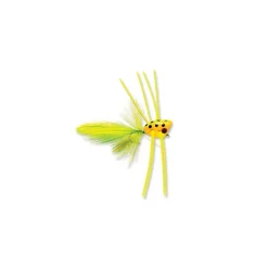 Peeper Popper - Your Premium Fishing Gear Store Rods Lines Baits Accessories* Best Sale