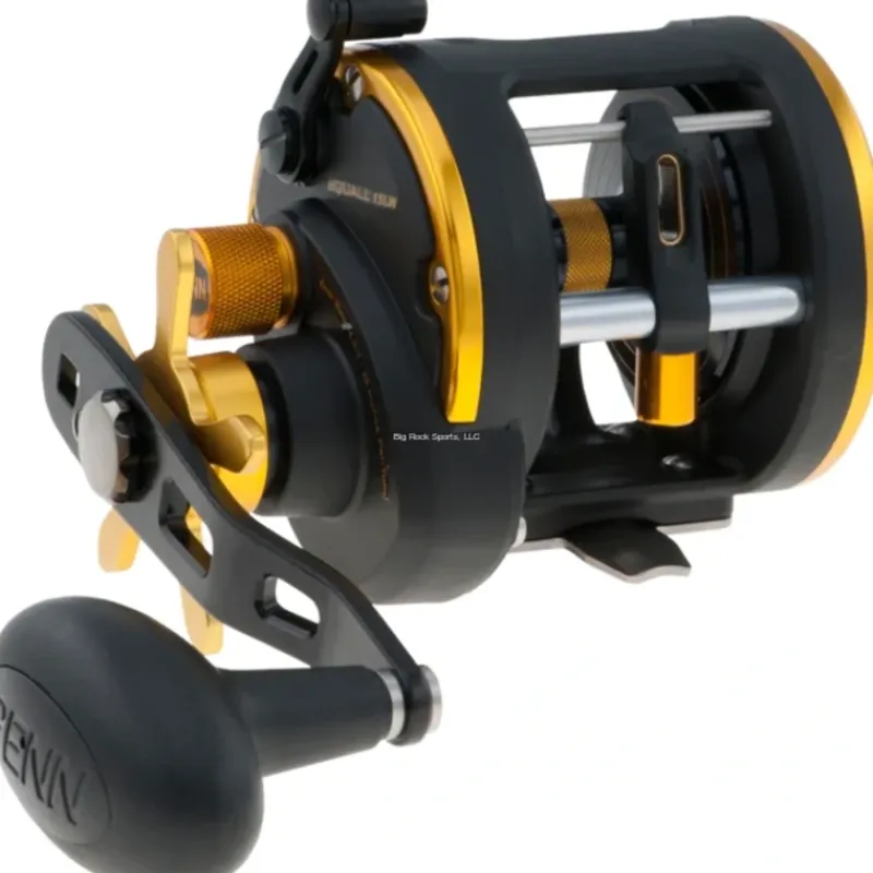 Penn Squall Level Wind Conventional Fishing Reels - Your Premium Fishing Gear Store Rods Lines Baits Accessories* Best Sale
