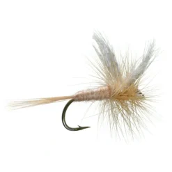 Pink Cahill - Your Premium Fishing Gear Store Rods Lines Baits Accessories* Online