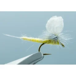 PMD Extended Body #18 - Your Premium Fishing Gear Store Rods Lines Baits Accessories* Sale