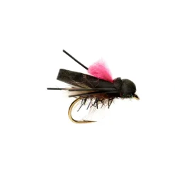 Procter Flip Flop Pink - Your Premium Fishing Gear Store Rods Lines Baits Accessories* Shop