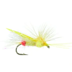 Quigley's Stacked Sallie - Your Premium Fishing Gear Store Rods Lines Baits Accessories* Cheap