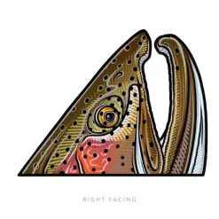Rainbow Rise Right Sticker - Your Premium Fishing Gear Store Rods Lines Baits Accessories* Clearance