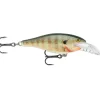 Rapala Scatter Rap Shad Deep, Floating-Diving, 8 Ft, 2-3/4", 1/4 oz, Bluegill - Your Premium Fishing Gear Store Rods Lines Baits Accessories* Store