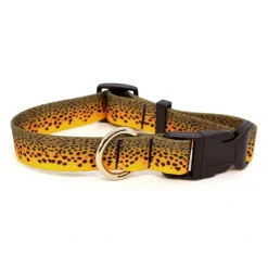 Rep Your Water Brown Trout Skin Dog Collar Large - Your Premium Fishing Gear Store Rods Lines Baits Accessories* Clearance
