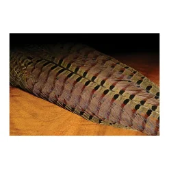 Ringneck Pheasant Complete Tail Clump - Your Premium Fishing Gear Store Rods Lines Baits Accessories* Flash Sale