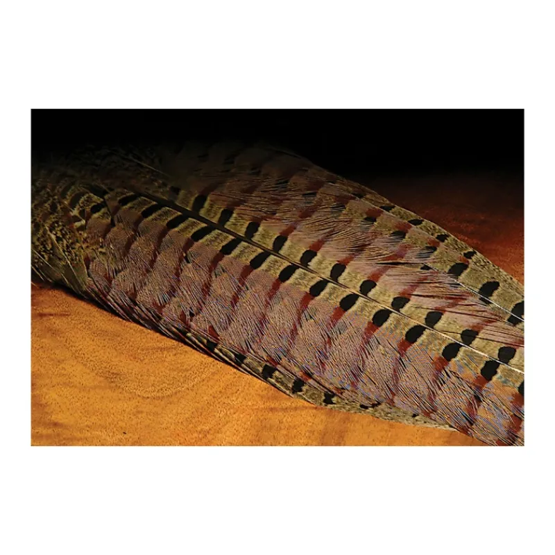 Ringneck Pheasant Complete Tail Clump - Your Premium Fishing Gear Store Rods Lines Baits Accessories* Flash Sale