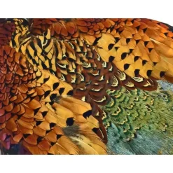 RingNeck Pheasant Skin - Your Premium Fishing Gear Store Rods Lines Baits Accessories* Store