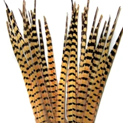 RINGNECK TAIL FEATHERS - 1 PAIR - Your Premium Fishing Gear Store Rods Lines Baits Accessories* Online