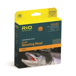 Rio Scandi Short Shooting Head - Your Premium Fishing Gear Store Rods Lines Baits Accessories* Flash Sale